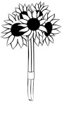 Daisies Clipart