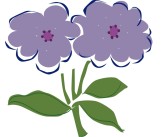 Two Purple Flowers