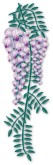 Realistic Wisteria with Drop Shadow