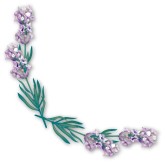 Purple Flower with Drop Shadow Corner