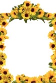 Full Sunflower Vexel Frame