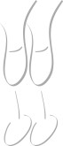 Crystal Flutes Clipart