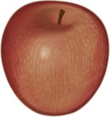 Apple Clip Art