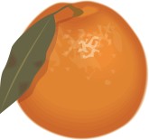Orange Clipart