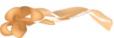 Gold Bow Menu Divider