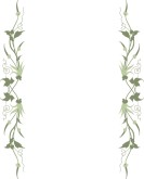 Symmetrical Ivy Leaves and Vines Frame