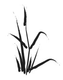 Cattail Clipart