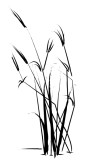 Reeds Clipart