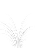 Grey Plant Lines