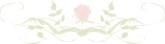 Pastel Floral Vine Bottom