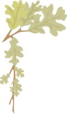 Oak Leaf Corner