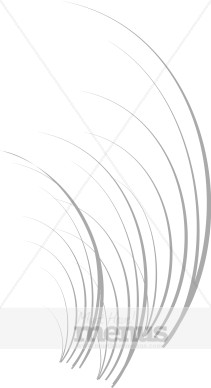 Three Grass Sections