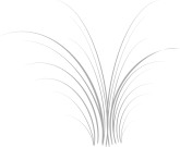 Smaller Wheat Background