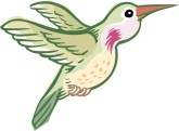 Hummingbird Clipart