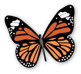 Monarch Butterfly Clipart