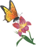 Butterfly Garden Clipart