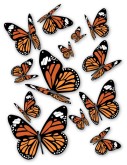 Monarch Butterflies Clipart