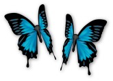 Butterflies Clip Art