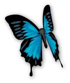 Butterfly Clip Art