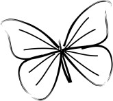 Butterfly Icon