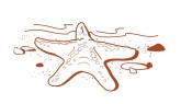 Starfish Clip Art
