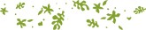 Green Leaves and Flowers in the Wind