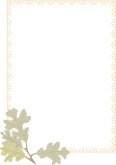 Oak and Orange Lace Frame