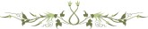 Symmetrical Ivy and Vines Divider