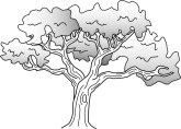Shade Tree Clipart
