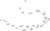 Maple Leaves Swirling