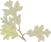 Oak Leaf Clip Art
