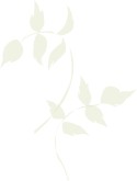 Stems Clipart