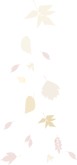 Autumn Colors Falling Leaves