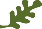 Oak Leaf Clipart