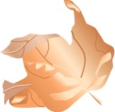 Dried Leaf Clipart