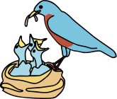 Baby Birds Clipart