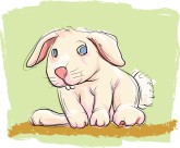 Curious Bunny Clipart