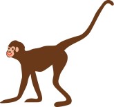 Baby Monkey Clipart