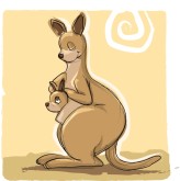 Kangaroo Clipart