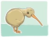 Kiwi Bird Clipart
