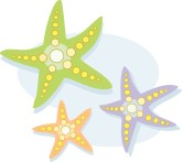 Starfish Clipart