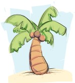 Coconut Palm Clipart