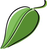 Leaf Clip Art