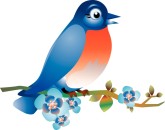Bluebird Clipart