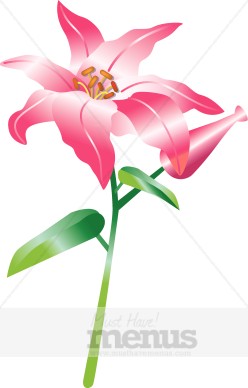 Lily Clipart