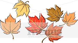 Maple Leaf Clipart