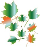 Colorful Leaves Clipart