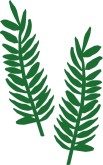 Fern Frond Clipart