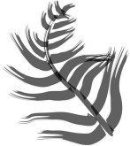 Brushstroke Fern Clipart