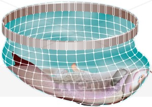 Net Fishing Clipart